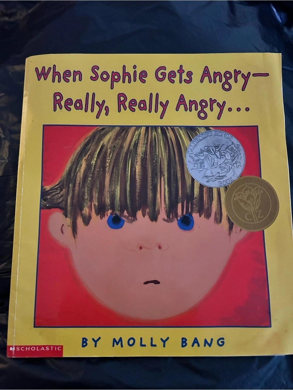 Scholastic When Sophie Gets Angry—Really, Really Angry. Picture Book